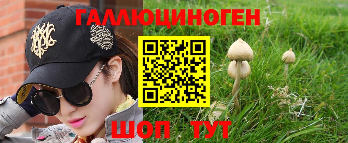 Псилоцибиновые грибы Psilocybine cubensis  Вход с VPN  Снежинск 